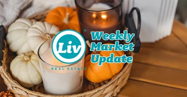 Edmonton Real Estate Weekly Market Update Oct24/25